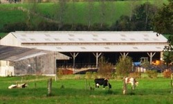 paysage qui reflète l'élevage en bâtiment 