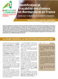 Identification et traçabilité des chevaux en Normandie et en France